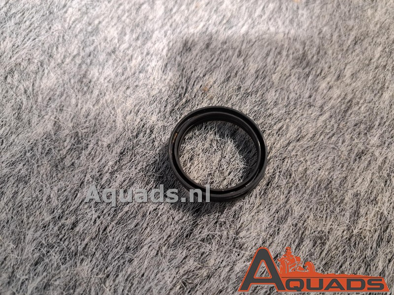 Oil seal CFmoto 500